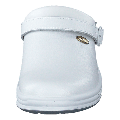 New Bonus White