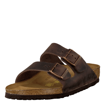 Arizona Regular Natural Leather Oiled - Habana