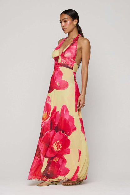 Camoni Polka Dot Diary Maxi Dress
