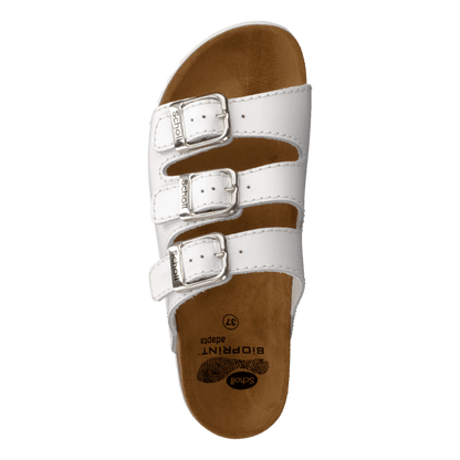 Rio WG AD White