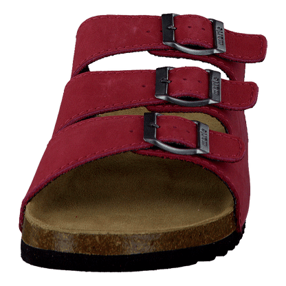 Shell Red