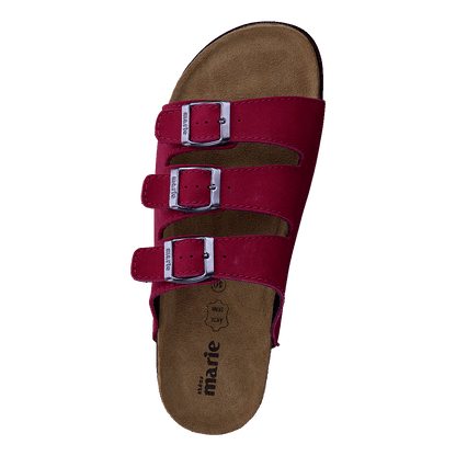 Shell Red