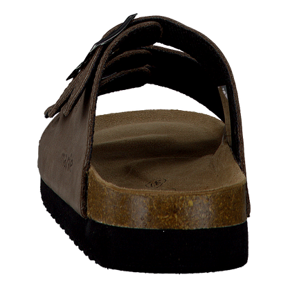 Shell Brown