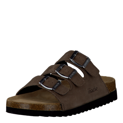 Shell Brown