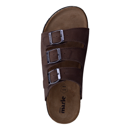 Shell Brown