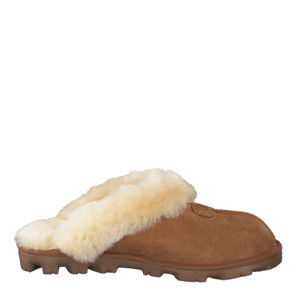 Coquette Chestnut