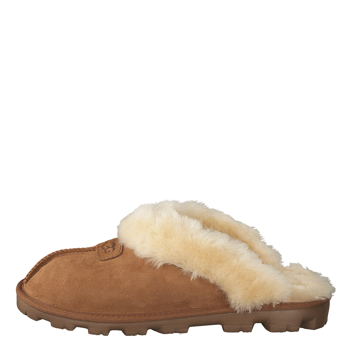Coquette Chestnut